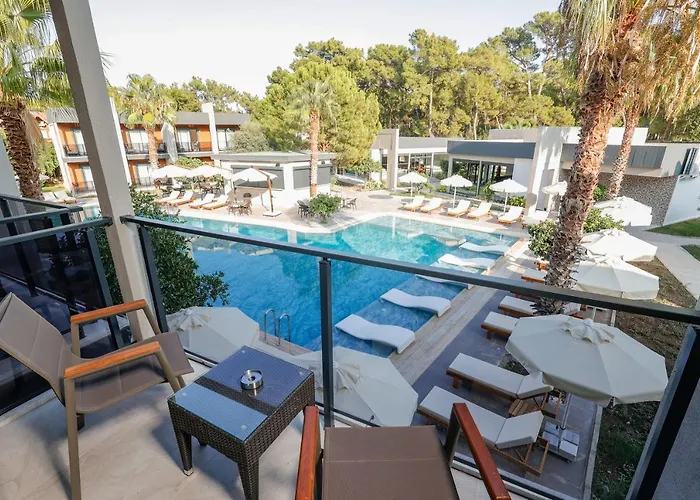 Hotel Forest In