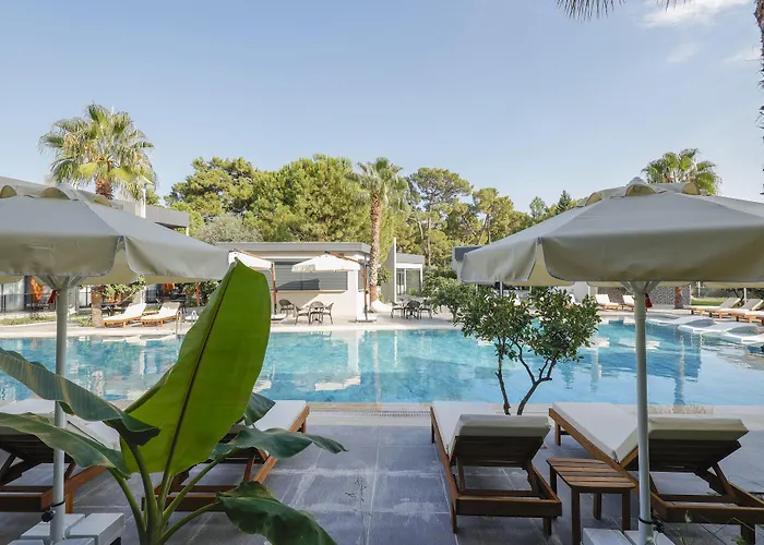 Forest In Hotel 3*