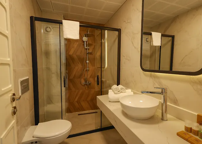 Hotel Forest In 3*