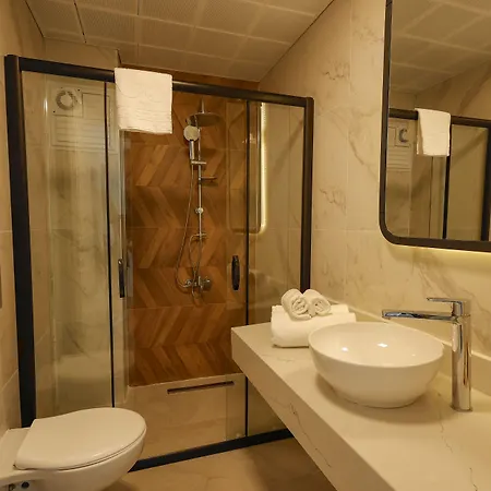 Hotel Forest In 3*