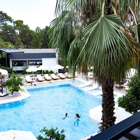 Hotel Forest In