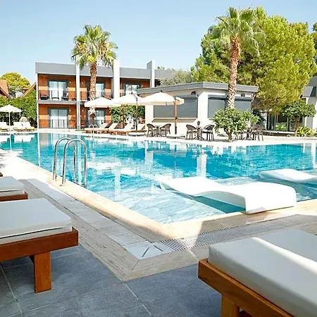 Hotel Forest In 3*