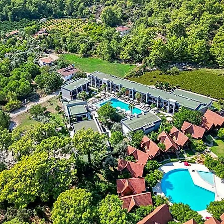 Forest In Kemer