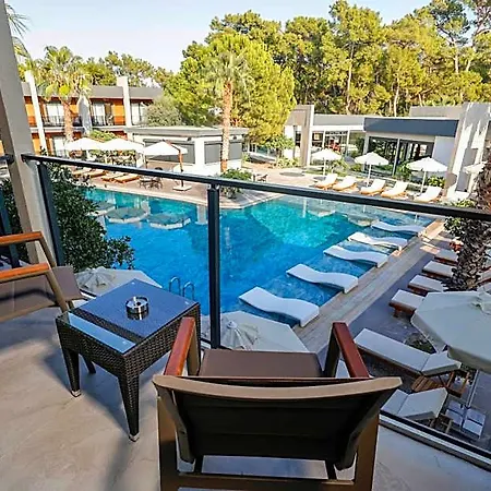 Hotel Forest In
