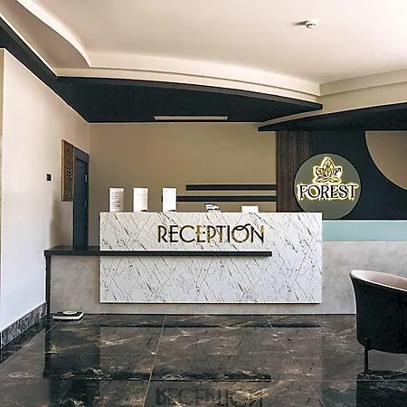 Hotel Forest In