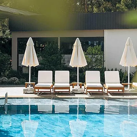Forest In Hotel 3*