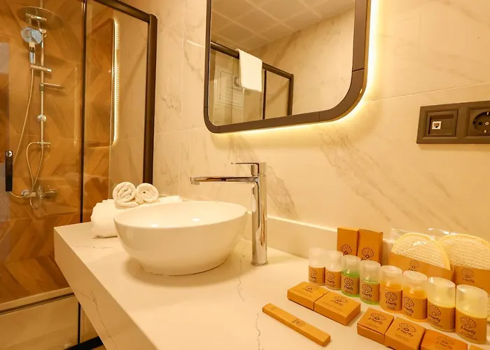 Hotel Forest In 3*
