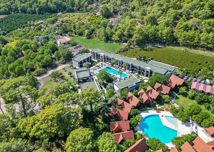 Hotel Forest In